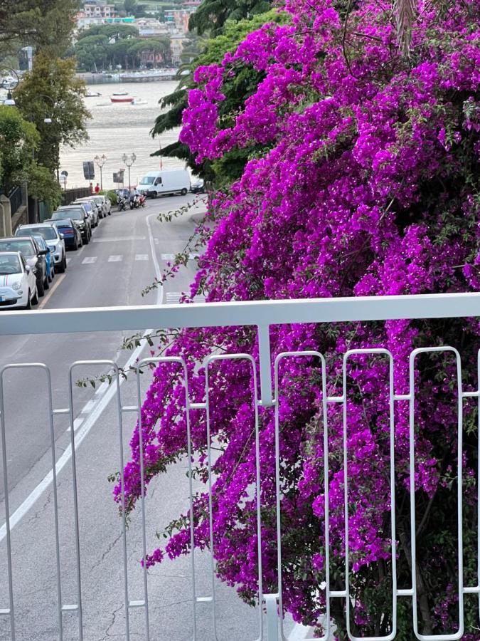 Welcome Riviera -Torre D'Avorio Appartamento 126 Mq Piu'Terrazzo25 Mq - Totalmente Rinnovato- 250 M Dal Centro - Parcheggio A Pagamento 15 Euro Al Giorno Da Prenotare In Anticipo Salvo Dispo -Parking At 15 Euro Per Day To Be Booked In Advance If Avai Rapallo Eksteriør billede